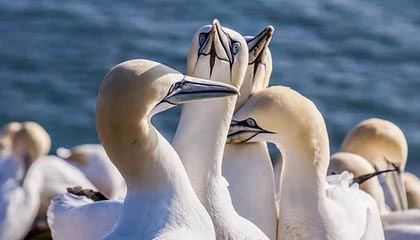 开云官方网站：以信任与创新点亮你的购物旅程