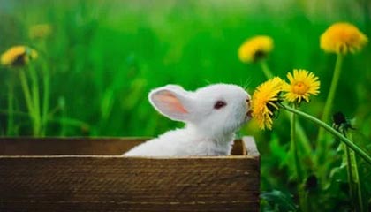 足球比分-网页版登录入口：开启高效工作的新起点